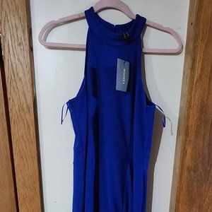 Long Blue Sleeveless Maxi Dress